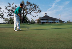 A golfer on the green at Dunes West in Mount Pleasant